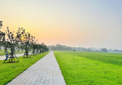 Bật mí loại cỏ được sử dụng tại Công viên Thiên Đường