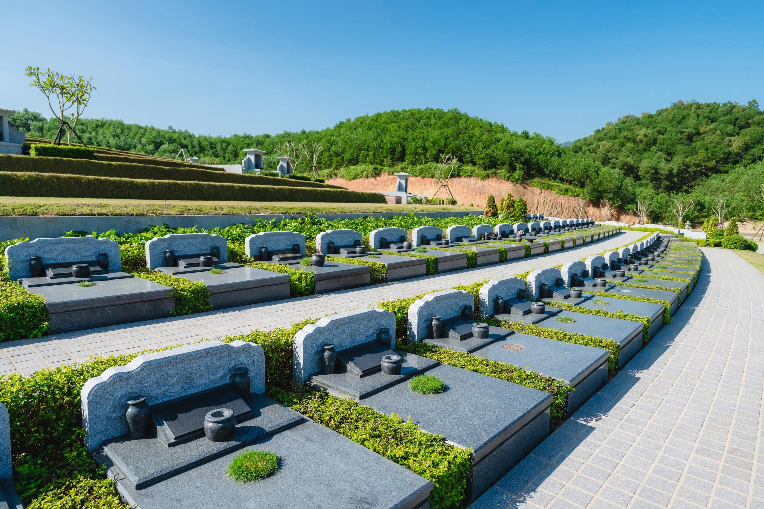 0b6f72770b288476dd395