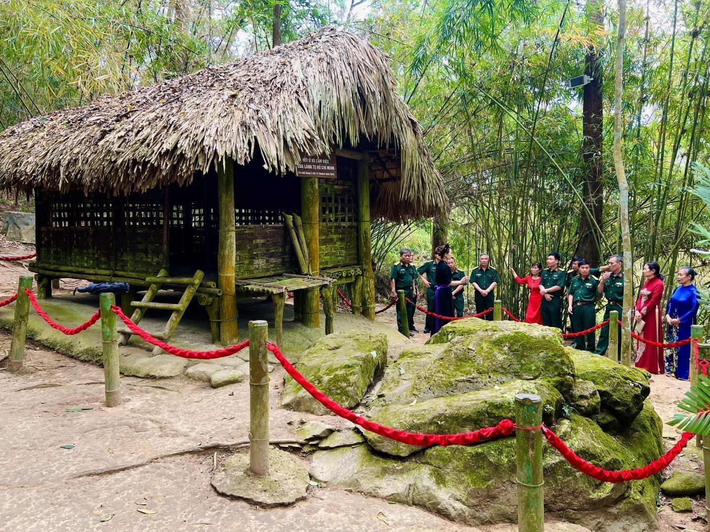 cay-da-tan-trao3-4814