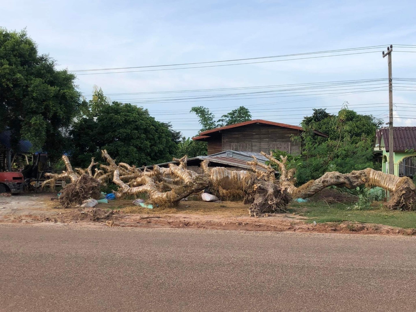 z5496505054159_4420fe3df7f7670c10fc0fb6ce285292