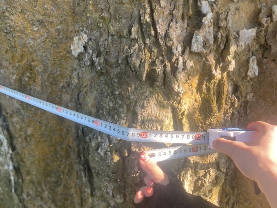 z5496511539509_e7d185af52ee4bef9e0836d7e89ee26e