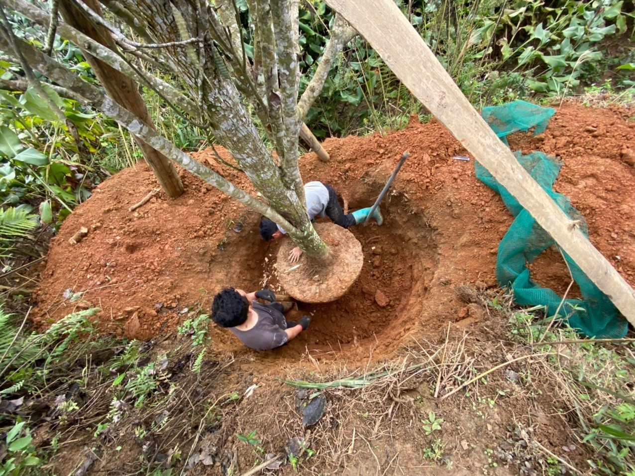 z5493538336399_346ce41b85ad5972b92dcd420da2bcb4