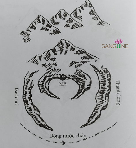 unnamed (9)